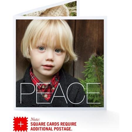 5.25 x 5.25" - 3 Photos