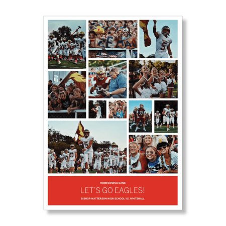 20 x 28”, 12 Photos