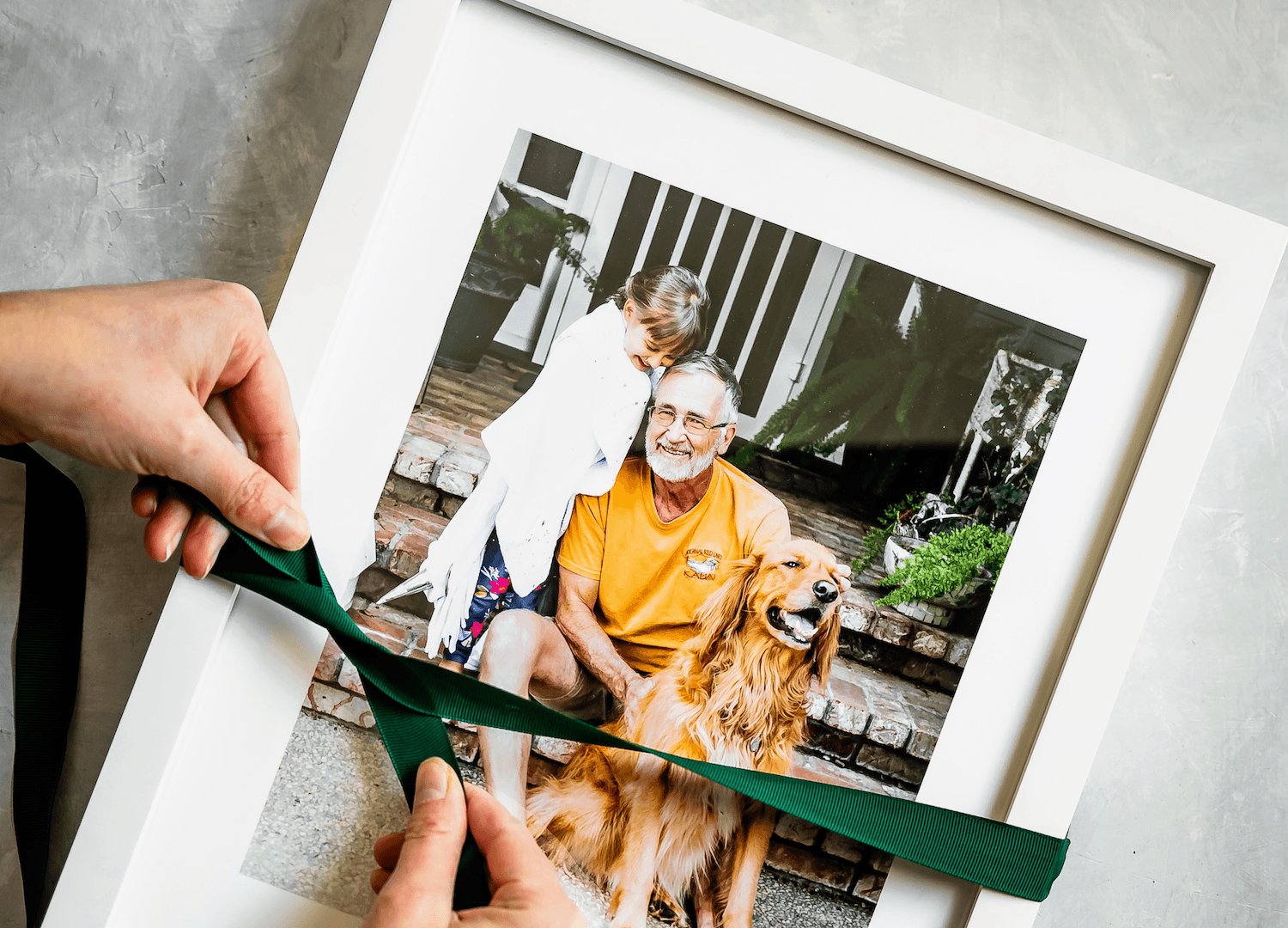 FeaturedHeader-Frames